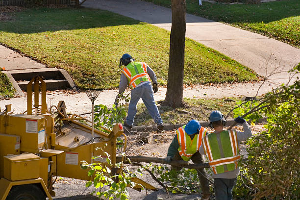 Trusted Legend Lake, WI Tree Service Experts